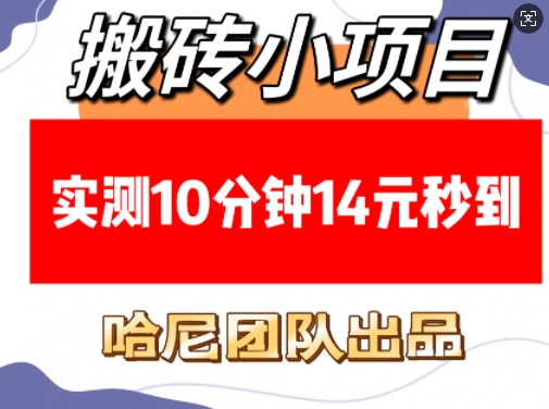 搬砖小项目，实测10分钟14元秒到，每天稳定几张(赠送必看稳定)-木白网创