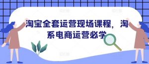 淘宝全套运营现场课程，淘系电商运营必学-木白网创