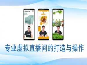 个人虚拟直播间的搭建与操作,专业虚拟直播间的打造与操作-木白网创