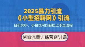 2025最新暴力引流方法，招聘平台一天引流300+，日变现多张，专业人士力荐-木白网创