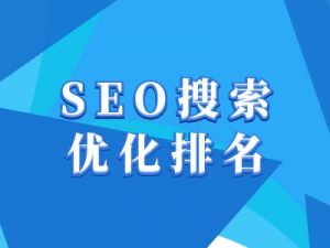 抖音搜索SEO教程，抖音SEO搜索优化排名-木白网创