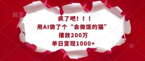疯了吧！用AI做了个“会做饭的猫”，播放200万，单日变现1k-木白网创