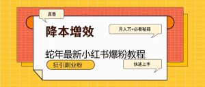 蛇年最新小红书爆粉教程，狂引副业粉，月入万+必看-木白网创