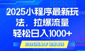 2025年小程序最新玩法，流量直接拉爆，单日稳定变现1000+-木白网创