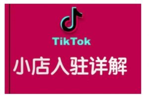 TikTok跨境小店运营全攻略，帮助你独立运营TK跨境小店的能力，实现销量增长-木白网创
