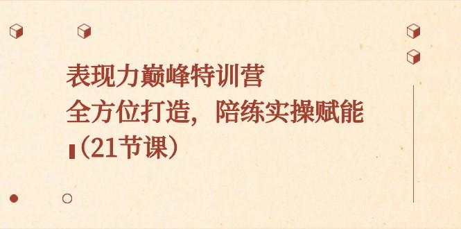 表现力巅峰特训营，全方位打造，陪练实操赋能（21节课）-木白网创