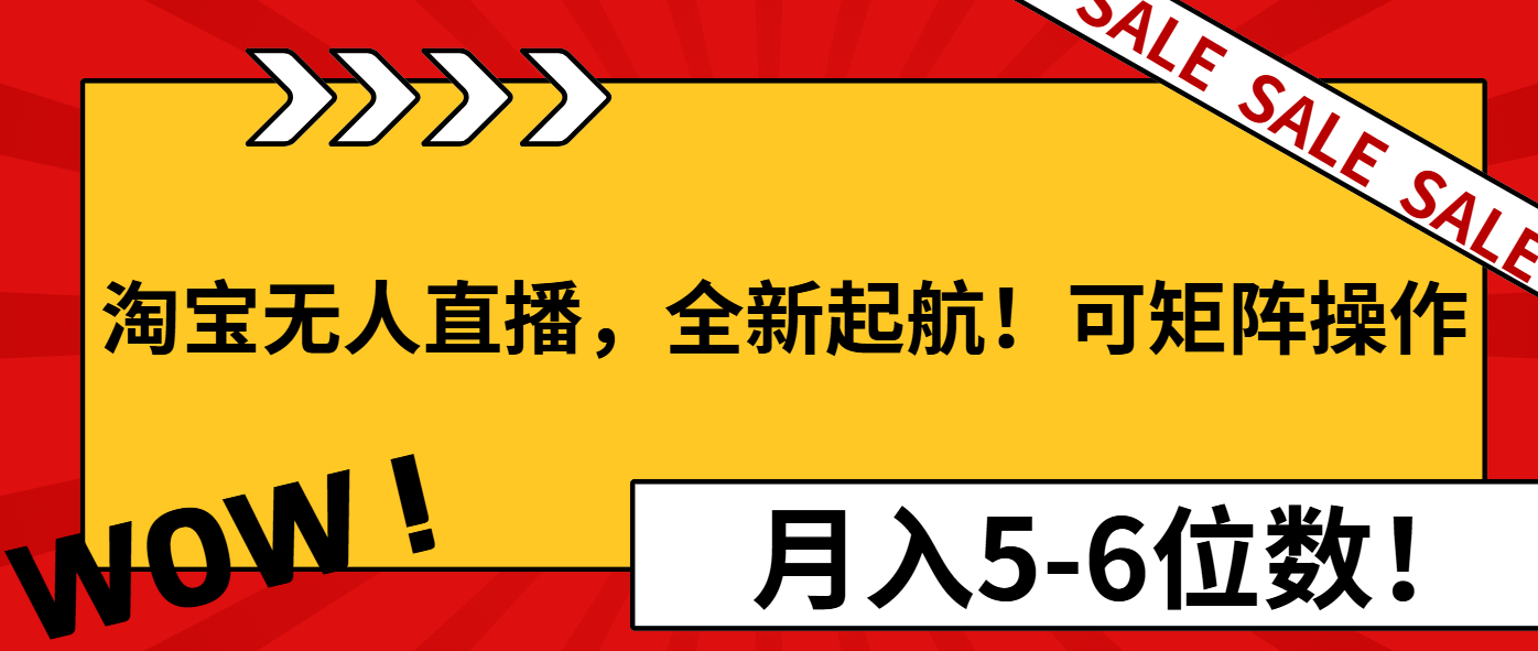 淘宝无人直播，全新起航！可矩阵操作，月入5-6位数！-木白网创