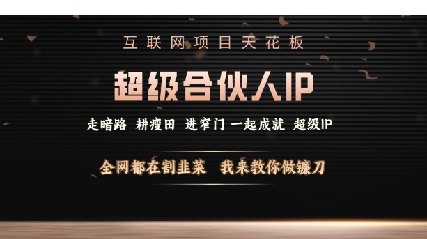 互联网项目天花板，超级合伙人IP，全网都在割韭菜，我来教你做镰刀【仅揭秘】-木白网创