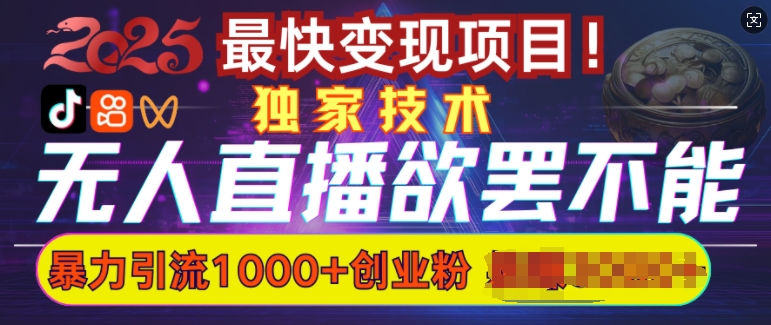 欲罢不能的无人直播引流，超暴力日引流1000+高质量精准创业粉-木白网创