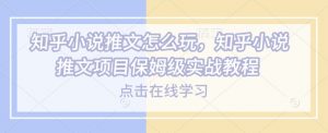 知乎小说推文怎么玩，知乎小说推文项目保姆级实战教程-木白网创