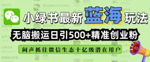 小绿书无脑搬运引流，全自动日引500精准创业粉，微信生态内又一个闷声发财的机会-木白网创