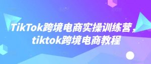 TikTok跨境电商实操训练营，tiktok跨境电商教程-木白网创