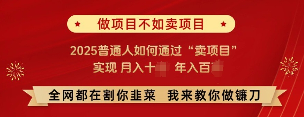 必看，做项目不如卖项目，2025普通人如何通过“卖项目”实现月入十个，年入百个-木白网创