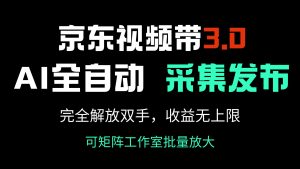 京东视频带货3.0，Ai全自动采集＋自动发布，完全解放双手，收入无上限...-木白网创