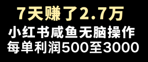 全网首发，7天赚了2.6万，2025利润超级高！-木白网创