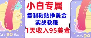 复制粘贴挣美金，0门槛，1天收入95美刀，3分钟学会，内部教程(首次公开)-木白网创