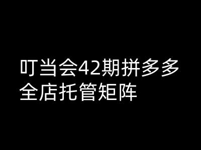 叮当会拼多多打爆班原创高阶技术第42期，拼多多全店托管矩阵-木白网创