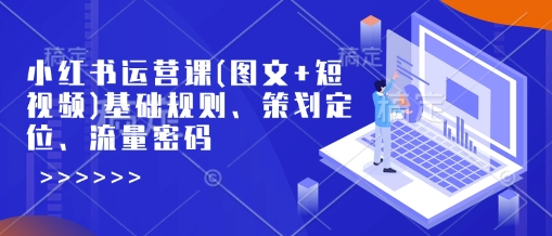 小红书运营课(图文+短视频)基础规则、策划定位、流量密码-木白网创