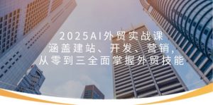 2025AI外贸实战课：涵盖建站、开发、营销, 从零到三全面掌握外贸技能-木白网创