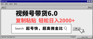 视频号带货6.0，轻松日入2000+，起号快，复制粘贴即可，超高佣金比-木白网创