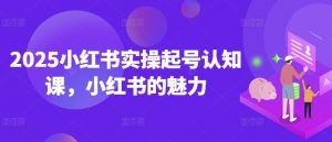 2025小红书实操起号认知课，小红书的魅力-木白网创