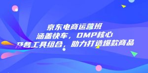 京东电商运营班：涵盖快车，DMP核心及各工具组合，助力打造爆款商品-木白网创