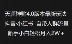 天涯神贴4.0版本最新玩法，抖音·小红书自带人群流量，新手小白轻松月入过W-木白网创