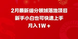 2月最新细分领域落地项目，新手小白也可快速上手，月入1W-木白网创