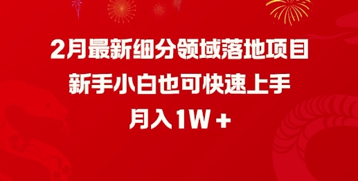 2月最新细分领域落地项目，新手小白也可快速上手，月入1W-木白网创