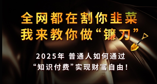 全网都在割你韭菜，我来教你做镰刀，2025年普通人如何通过 知识付费 实现财F自由【揭秘】-木白网创