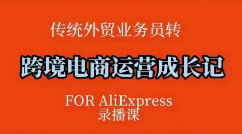 跨境电商速卖通运营课，​运营方法论+后台实操，逻辑清晰-木白网创