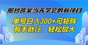 照抄答案当天学会的新项目，单号日入300 +可矩阵，有手就行，轻松放大-木白网创