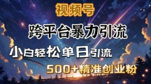 跨平台暴力引流，私域完美闭环，日引500+精准创业粉-木白网创