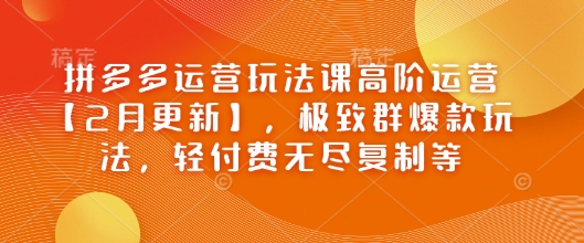 拼多多运营玩法课高阶运营【2月更新】，极致群爆款玩法，轻付费无尽复制等-木白网创