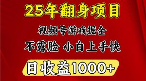 一天收益1000+ 25年开年落地好项目-木白网创
