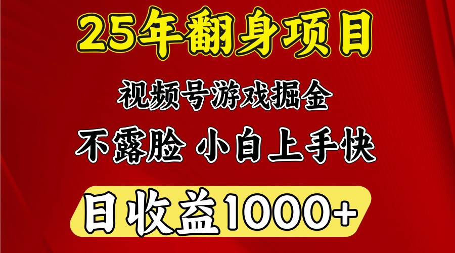 一天收益1000+ 25年开年落地好项目-木白网创
