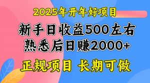 2025开年好项目,单号日收益2000左右-木白网创