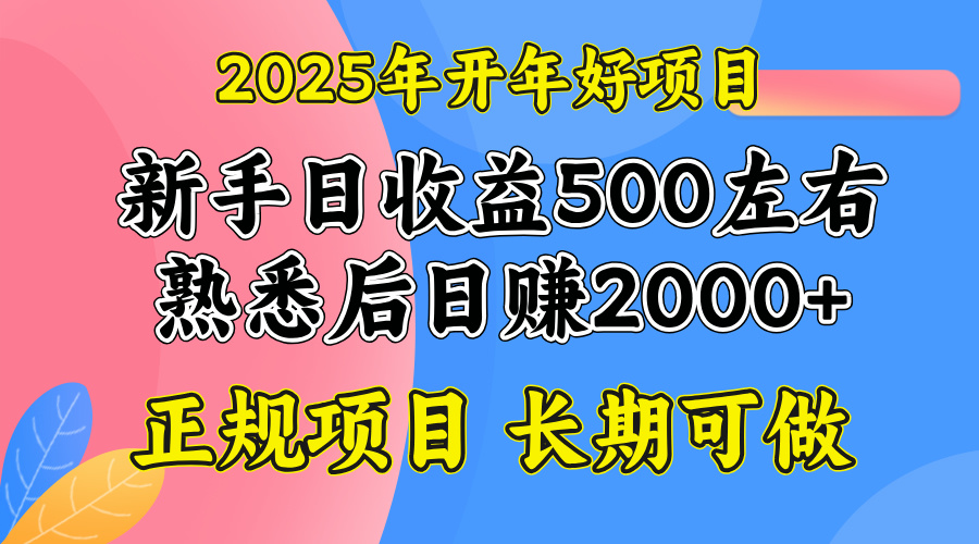 2025开年好项目，单号日收益2000左右-木白网创
