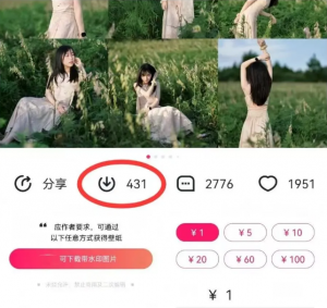 最新图虫搬运项目,收益无上限,利用AI小白也可日赚500+-木白网创