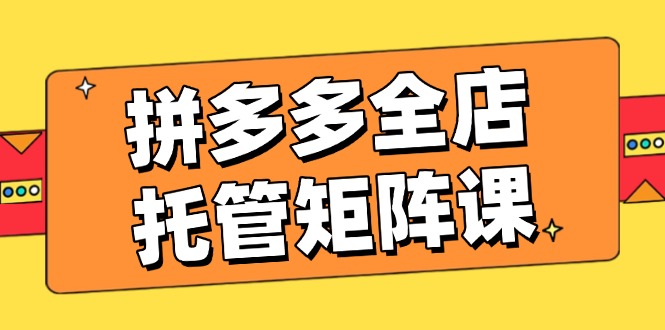 拼多多全店托管矩阵课，盈利动销玩法，高效计划设置，提升店铺效益-木白网创