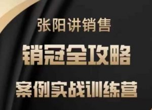 张阳讲销售实战训练营，​案例实战训练，销冠全攻略-木白网创