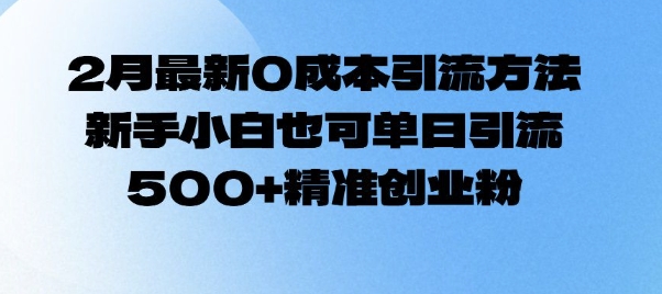 2月最新0成本引流方法，新手小白也可单日引流500+精准创业粉-木白网创