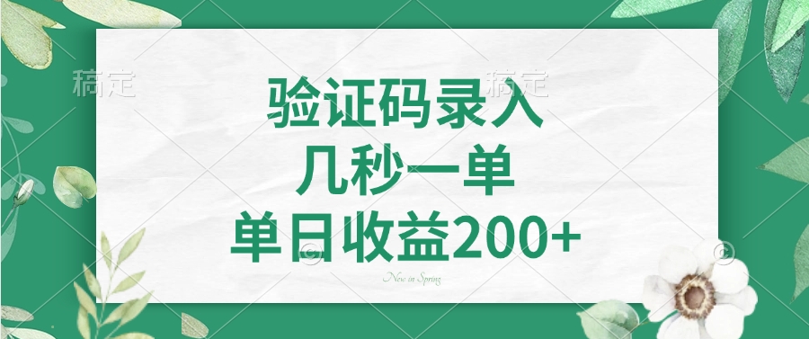 验证码录入，几秒一单，单日收益200+-木白网创