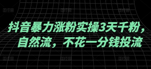 抖音暴力涨粉实操3天千粉，自然流，不花一分钱投流，实操经验分享-木白网创