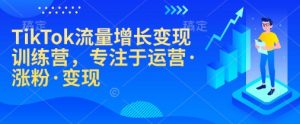 TikTok流量增长变现训练营，专注于运营·涨粉·变现-木白网创