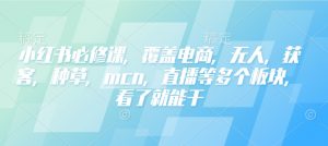 小红书必修课，覆盖电商，无人，获客，种草，mcn，直播等多个板块，看了就能干-木白网创