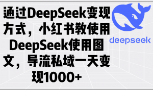 通过DeepSeek变现方式，小红书教使用DeepSeek图文，导流私域一天变现1000+-木白网创