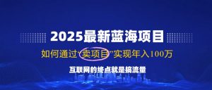 2025最新蓝海项目，零门槛轻松复制，月入10万+，新手也能操作！-木白网创