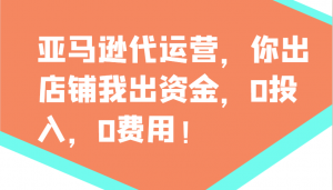 亚马逊代运营，你出店铺我出资金，0投入，0费用，无责任每天300分红，赢亏我承担-木白网创