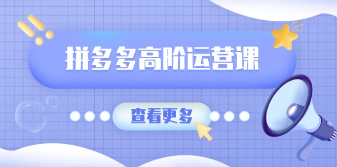 拼多多高阶运营课：极致群爆款玩法，轻付费无尽复制，打造单品爆款之路-木白网创